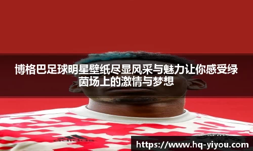 博格巴足球明星壁纸尽显风采与魅力让你感受绿茵场上的激情与梦想
